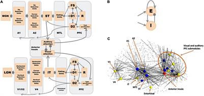 The Spatiotemporal Neural Dynamics of Intersensory Attention Capture of Salient Stimuli: A Large-Scale Auditory-Visual Modeling Study